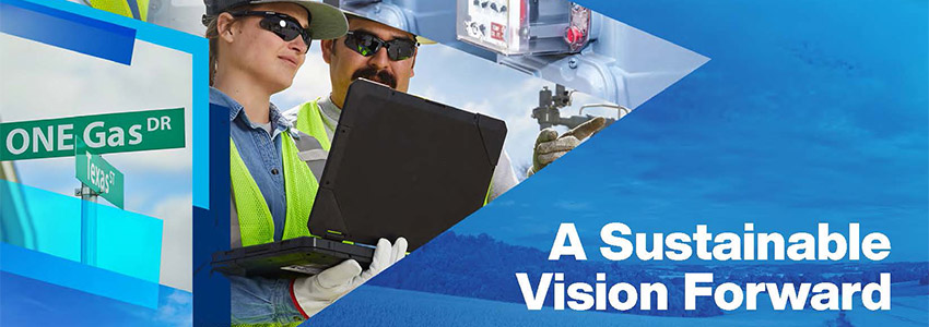 Environmental Social Governance 2021 cover